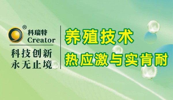 養(yǎng)殖技術|熱應激與實肯耐